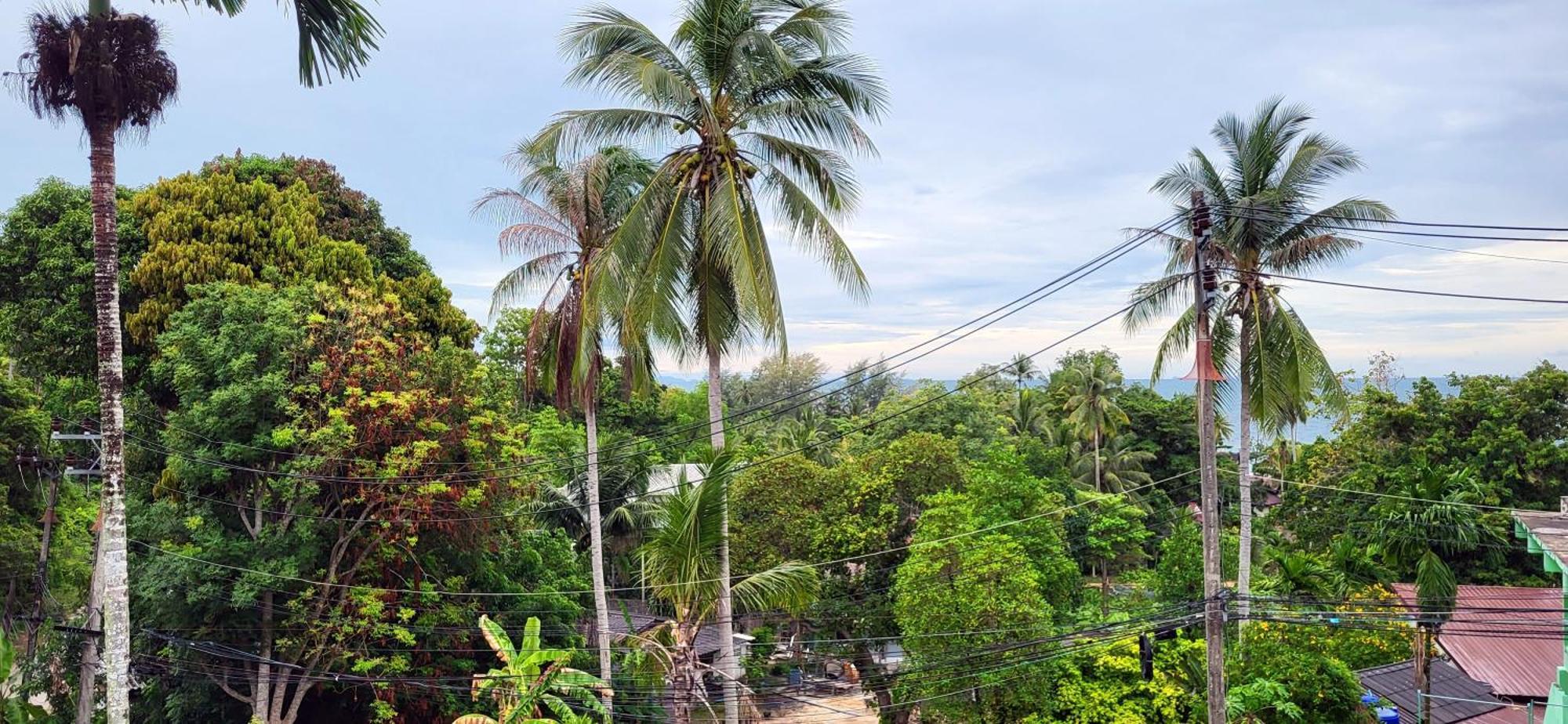 Moonway Bungalows เกาะพะงัน ภายนอก รูปภาพ